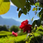 Bellagio, Grigna & アパート Civenna